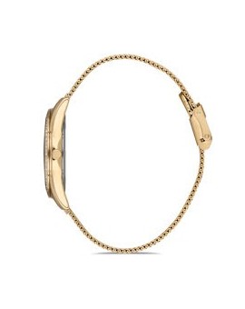 Daniel Klein Femme 